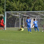 Italijanski in deželni pokal