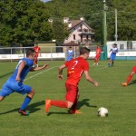 Italijanski in deželni pokal