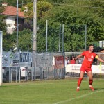 Italijanski in deželni pokal