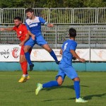 Italijanski in deželni pokal