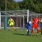 Italijanski in deželni pokal