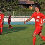 Italijanski in deželni pokal