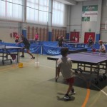 Zgonik pri Krasu začeli priprave