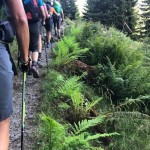 Planinska odseka SK Devin in ŠD Mladina na skupnem izletu