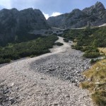 Planinke in planinci AŠD Mladina na vrh Male Mojstrovke
