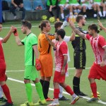 deželni pokal: vesna - zarja