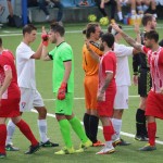 deželni pokal: vesna - zarja