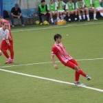 deželni pokal: vesna - zarja