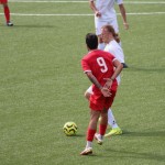 deželni pokal: vesna - zarja