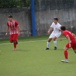 deželni pokal: vesna - zarja