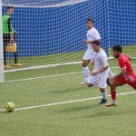 deželni pokal: vesna - zarja