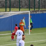 deželni pokal: vesna - zarja