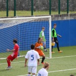 deželni pokal: vesna - zarja