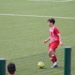 deželni pokal: vesna - zarja