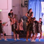 Cheerdance Millenium: slavnostna prireditev ob 20-letnici delova