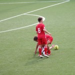 deželni pokal: vesna - zarja