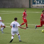 deželni pokal: vesna - zarja
