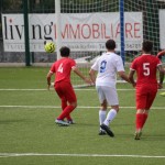 deželni pokal: vesna - zarja