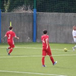 deželni pokal: vesna - zarja
