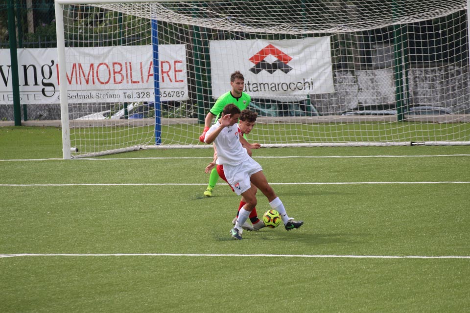 deželni pokal: vesna - zarja