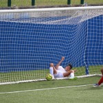 deželni pokal: vesna - zarja