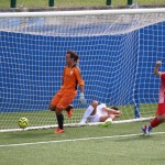 deželni pokal: vesna - zarja