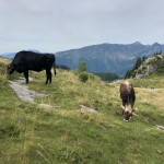 AŠD Mladina: tokrat na vrh Creta di Timau