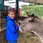 Poletni športni kamp AŠD Sokol