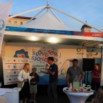 Stojnica ZSŠDI