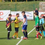 Nogomet 2.AL : Primorje - Primorec