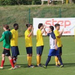 Nogomet 2.AL : Primorje - Primorec