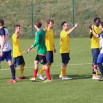 Nogomet 2.AL : Primorje - Primorec