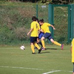 Nogomet 2.AL : Primorje - Primorec