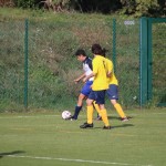 Nogomet 2.AL : Primorje - Primorec