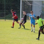 Nogomet 2 A liga : Primorec - Vesna