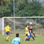 Nogomet 2.AL : Primorje - Primorec