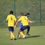 Nogomet 2.AL : Primorje - Primorec