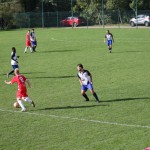 Nogomet 2. AL : Zarja - Primorec