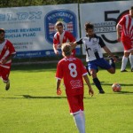 Nogomet 2. AL : Zarja - Primorec