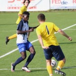 Nogomet 2.AL : Primorje - Primorec