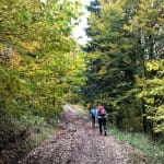 AŠD Mladina: pohod na Tolsti vrh in Kriško goro