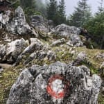 AŠD Mladina: pohod na Tolsti vrh in Kriško goro
