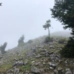 AŠD Mladina: pohod na Tolsti vrh in Kriško goro