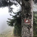AŠD Mladina: pohod na Tolsti vrh in Kriško goro