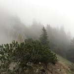 AŠD Mladina: pohod na Tolsti vrh in Kriško goro