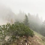 AŠD Mladina: pohod na Tolsti vrh in Kriško goro
