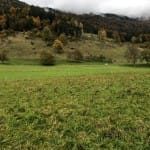 AŠD Mladina: pohod na Tolsti vrh in Kriško goro