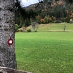 AŠD Mladina: pohod na Tolsti vrh in Kriško goro