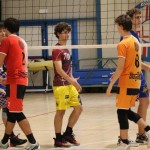 Odbojka  D liga : Sloga Tabor : Triestina volley