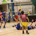 Odbojka  D liga : Sloga Tabor : Triestina volley